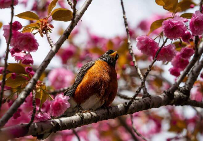 Jeff Palm's photography.